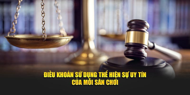 Điều khoản sử dụng thể hiện sự uy tín của mỗi sân chơi